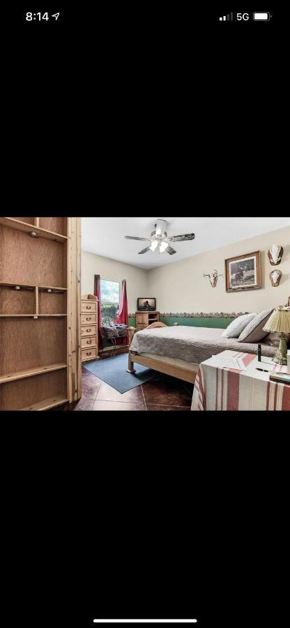 Little House On The Corner Apartment Livingston Bagian luar foto
